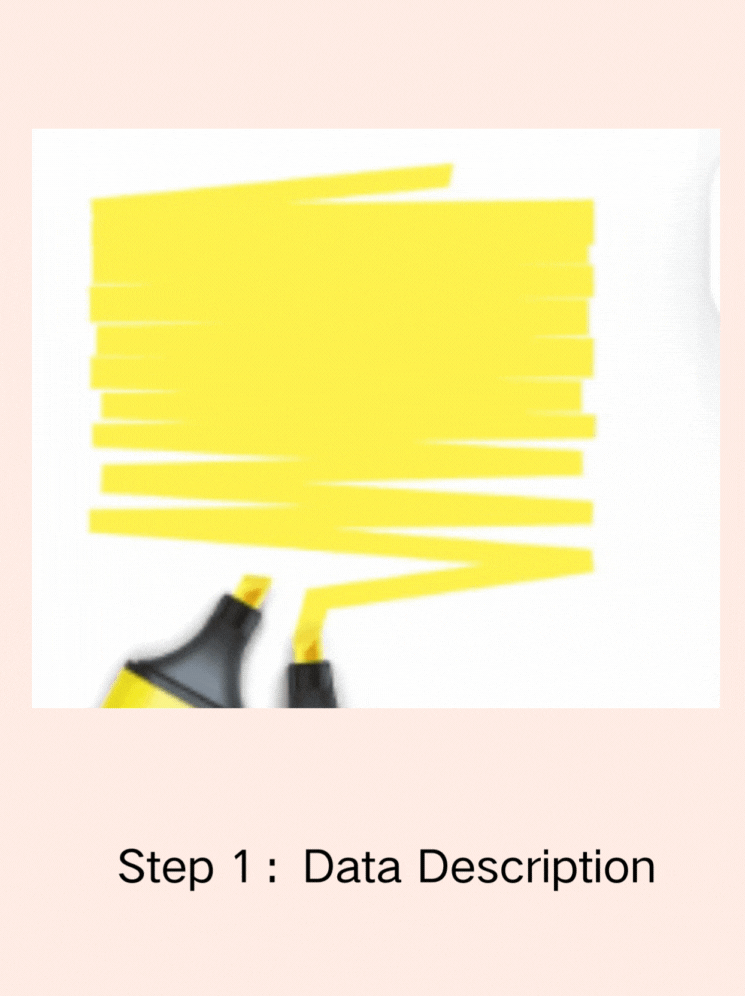 Step1: Data Description - VDraw AI