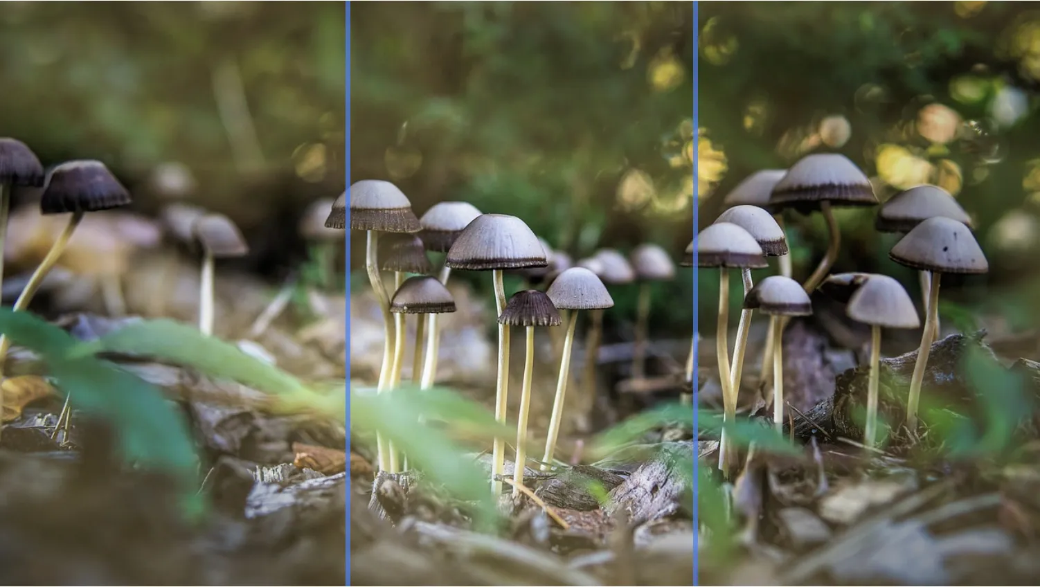 Instagram Grid Maker Example - VDraw