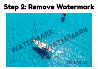Step 2: Remove the Watermark - VDraw
