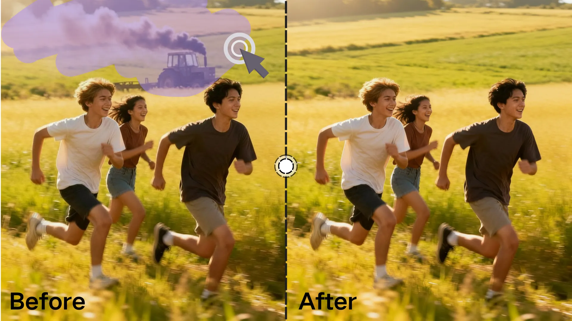 Video Watermark Remover User Case 2