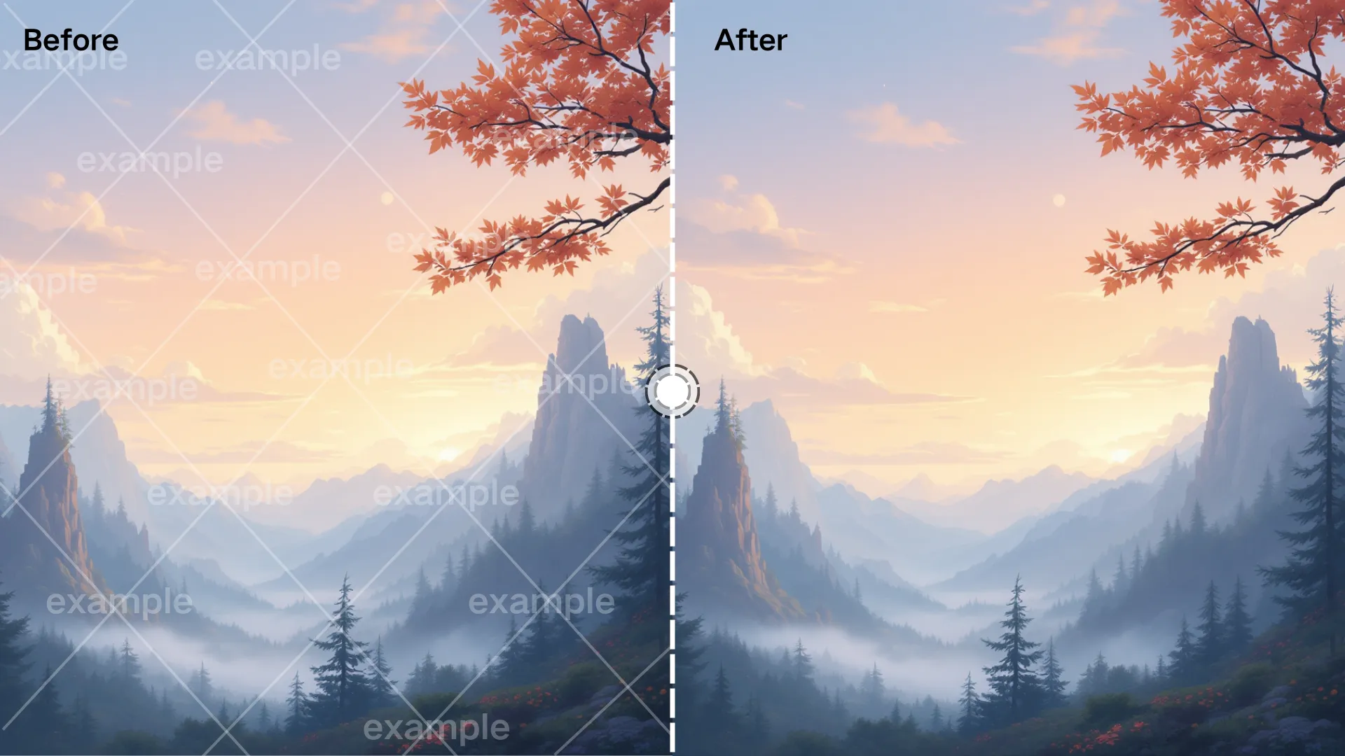 Video Watermark Remover User Case 3