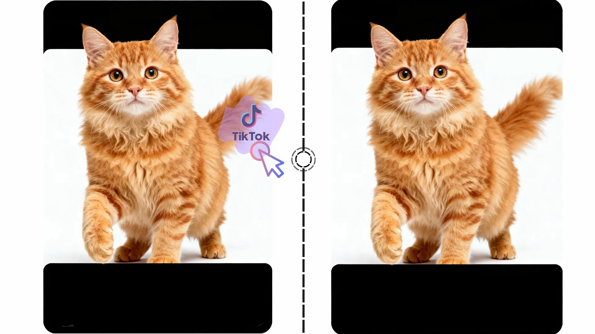 Video Watermark Remover User Case 4